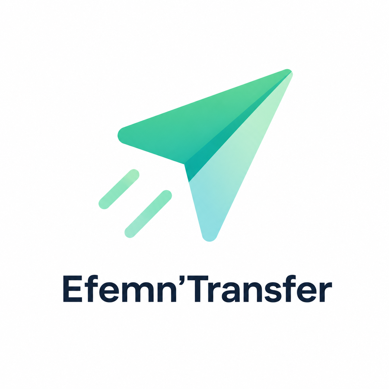 EfemrTransfer